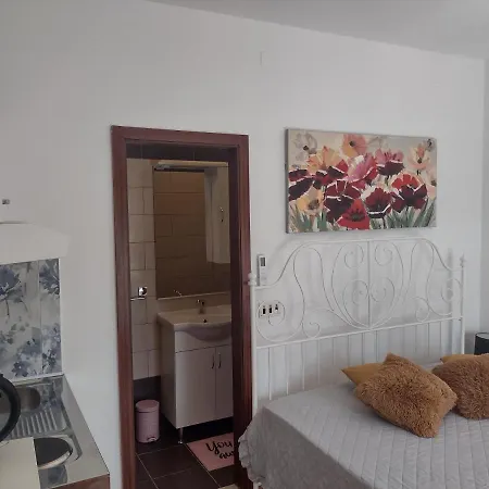 Vita Novi Vinodolski