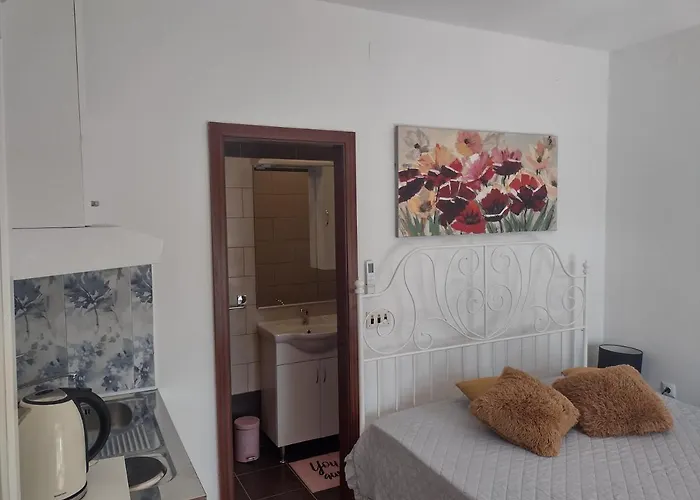 Vita Novi Vinodolski