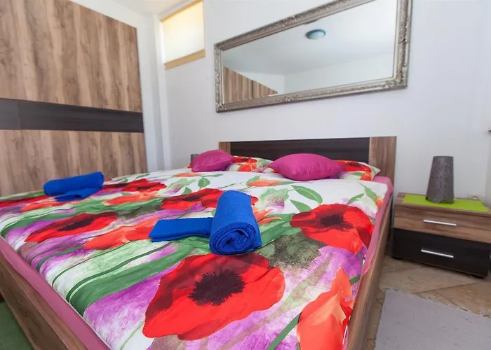 Vita Novi Vinodolski